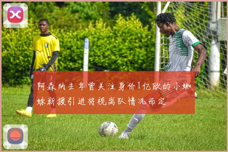 阿森纳去年曾关注身价1亿欧的小蜘蛛新援引进将视离队情况而定